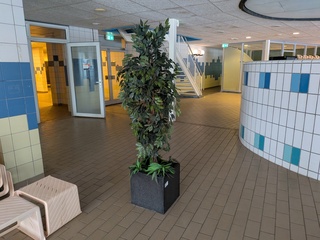 Kunstplant in pot