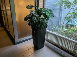 Kunstplant in pot