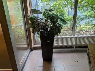 Kunstplant in pot