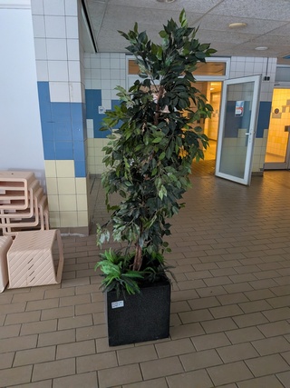 Kunstplant in pot