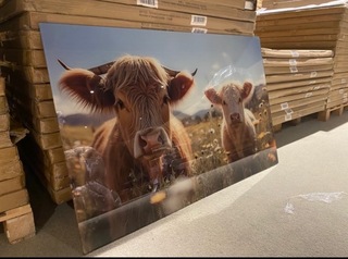 Schilderij gehard glas