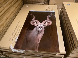 Schilderij gehard glas
