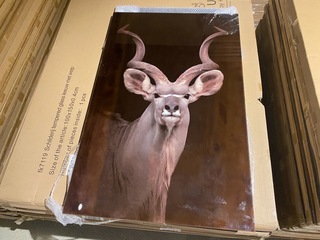 Schilderij gehard glas