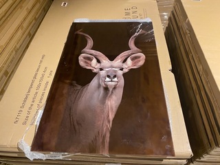 Schilderij gehard glas