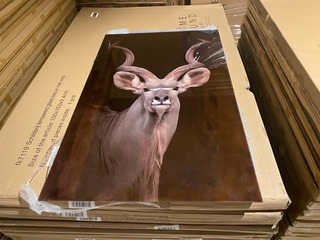 Schilderij gehard glas