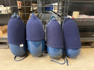 4x Boei