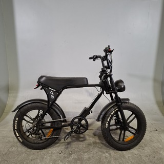 Fatbike, La Souris, C80