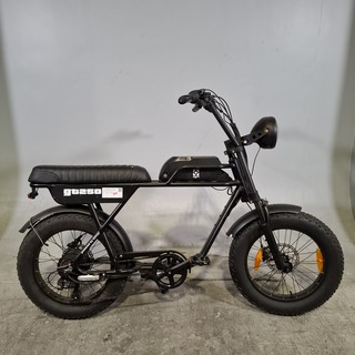 Fatbike, GT250