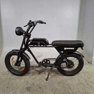 Fatbike, GT250
