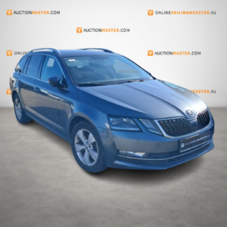 Personenauto, Skoda, Octavia Combi, 2.0 TDI Greentech Style Business,