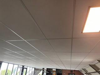Systeemplafond inclusief 2 LED opbouwlampen, wit, 2020