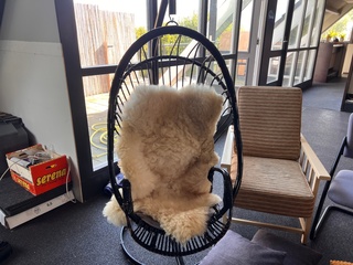 Diverse stoelen en kussens