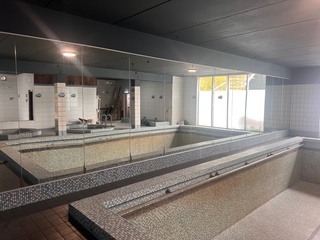 Spiegelwand, platen van 100 cm, spiegel
