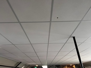 Systeemplafond inclusief 2 LED opbouwlampen, wit, 2020