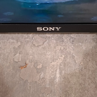 Televisie, Sony, FW-75XE8501, 2017