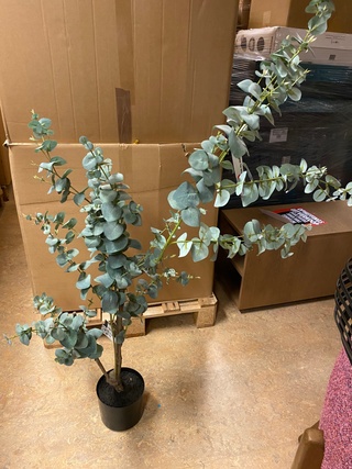 Kunstplant, Pure, Eucalyptus Globulus, groen/zwart, 150cm