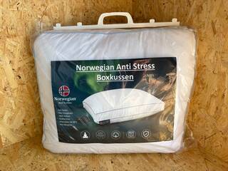 2x Anti-stress boxkussen Norwegian