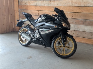 Motor, Yamaha, YZF-R125, 2008