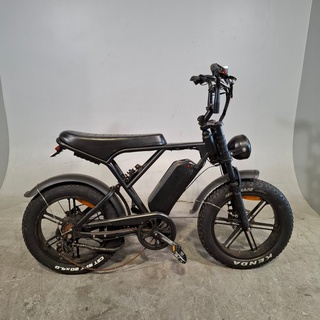 Elektrische bakfiets, Batavus, Fier