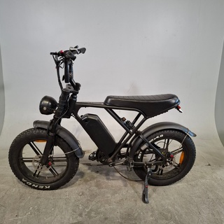 Elektrische bakfiets, Batavus, Fier