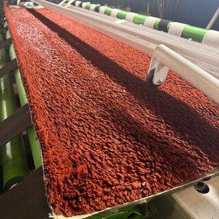Ca. 11,6m2 Kunstgras, 30 mm hoog, gravel