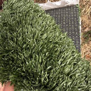 Ca. 5m2 Kunstgras, 30 mm hoog, groen