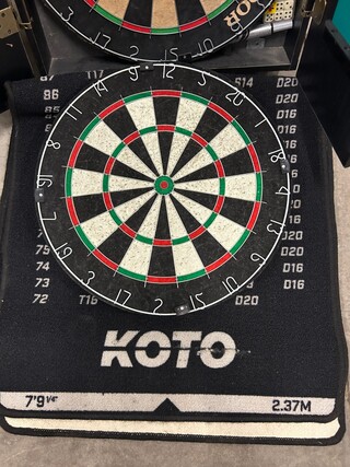Koto professioneel dartbord