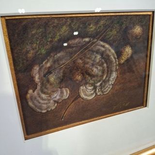 Afbeelding in lijst, H.J. Van Wijk, Boomzwammen
