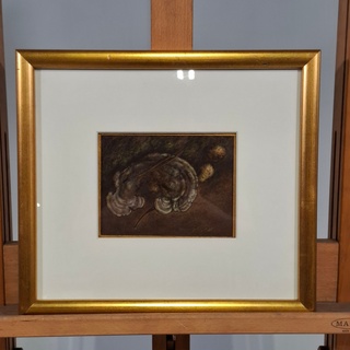 Afbeelding in lijst, H.J. Van Wijk, Boomzwammen