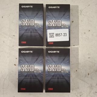 4x SSD Kaart 128GB, Gigabyte, NVMe M.2 2280, 2022