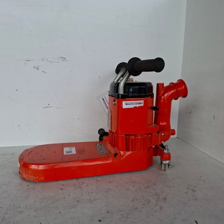 Kantenschuurmachine – 300mm – 230V, Künzle & Tasin, Pegasus, 2014