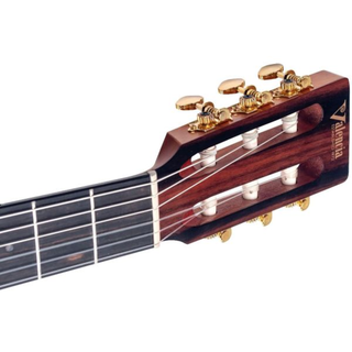 Auditorium Gitaar  Valencia, VA434CSB Series 430 , Classic Sunburst