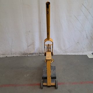 Stenenknipper, Geel
