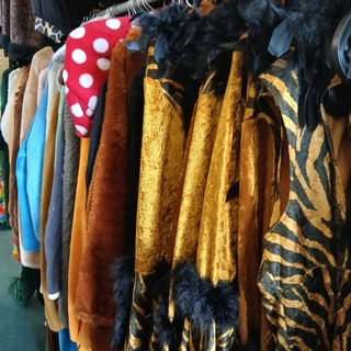 Ca. 49x Verkleedkleding: thema dieren