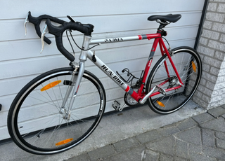 Racefiets Run & Bike, Padma
