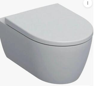 Wandcloset, rimfree + toiletzitting Geberit, 1Con, wit