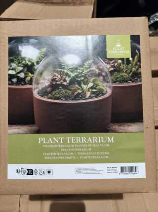 Ca. 25x Planten terrarium Esschert Design