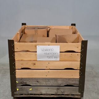 Partij tent haringen