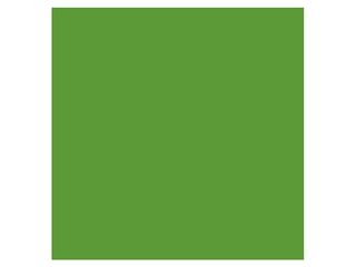 Snijfolie 50m x 61cm Intercoat, 3800 serie mat, 3857 dark green