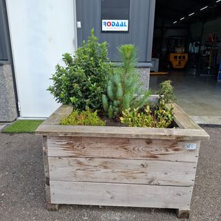 2x Plantenbak met diverse planten