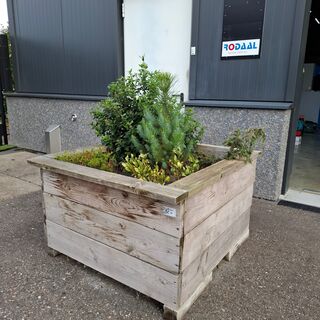 2x Plantenbak met diverse planten