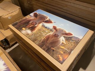 Schilderij gehard glas Koeien