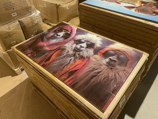 Schilderij gehard glas Lama’s