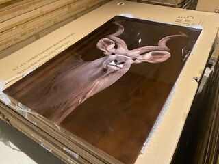 Schilderij gehard glas Kudu