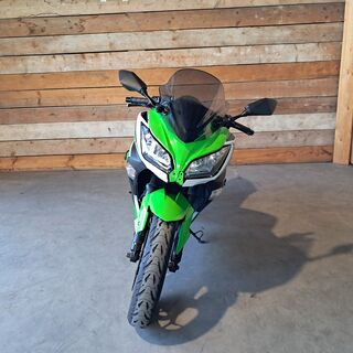 Motor, Kawasaki, Ninja 300 Anniversary Edition, 2015