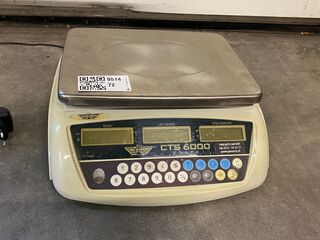 Telweegschaal, CTS 6000