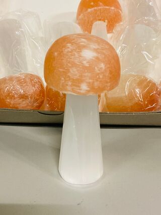 Ca. 12x Seleniet paddestoelen