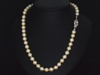 Parel snoer met witgouden sluiting