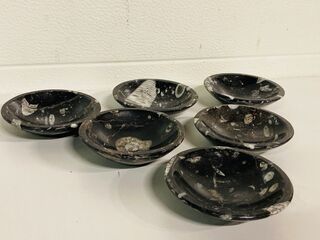 6x Orthoceras schalen