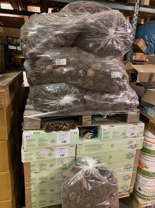 6x Dennenappels, zak a 10 kilo